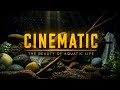 A World in Glass | Cinematic Aquarium Film 🤍🌿