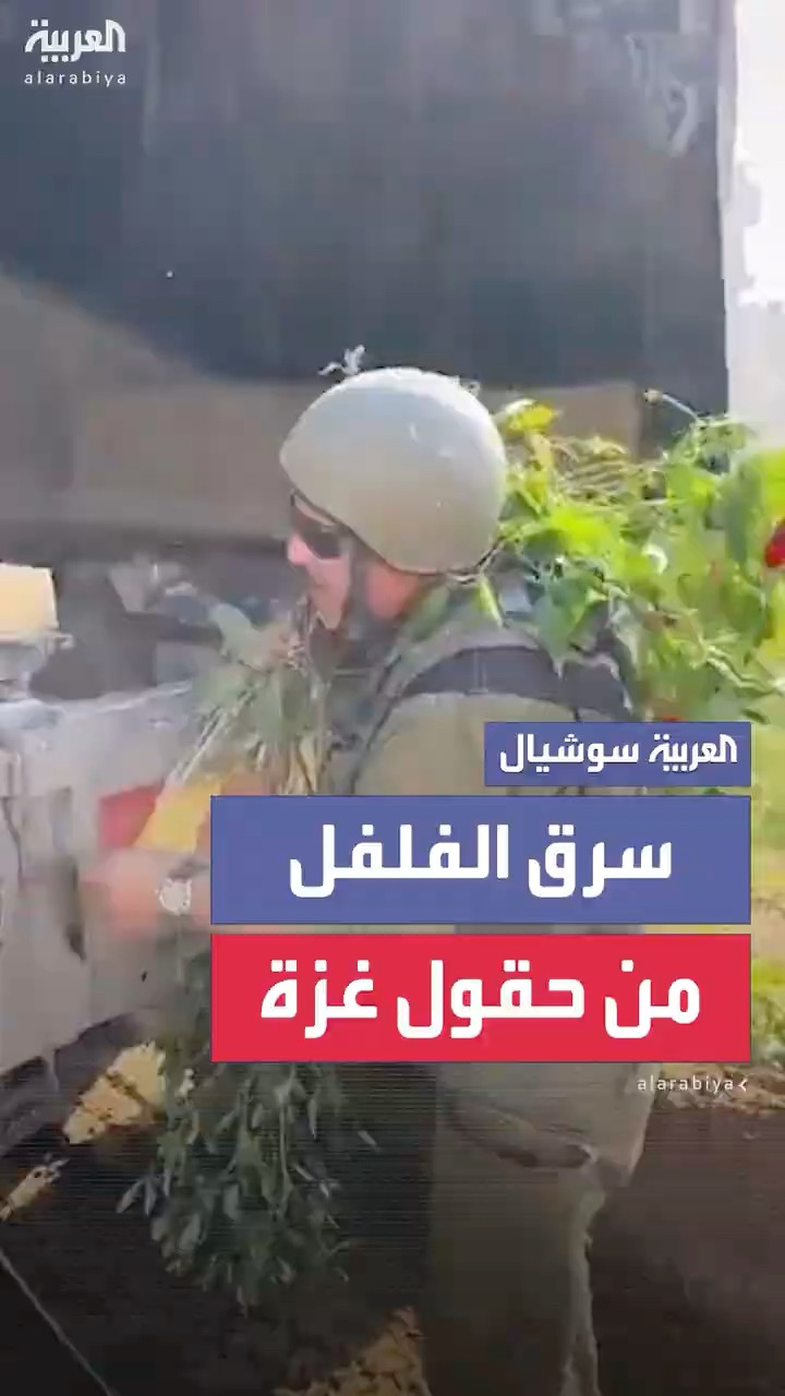 جندي إسرائيلي يسرق الفلفل من حقول الفلسطينيين في قطاع غزة