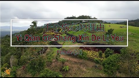 一千个伤心的理由 (Yi Qian Ge Shang Xin De Li You) Female Version - Karaoke mandarin