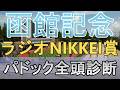 【JRAライブ】競馬記者が全レースのパドックを解説【函館記念 ラジオNIKKEI賞 2026】