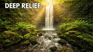 Relaxing Ancient Forest &amp; Waterfall Soundscape – 11 Hours No Interruptions