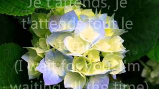 Je Voulais Te Dire Que Je T'attends (with English translation)