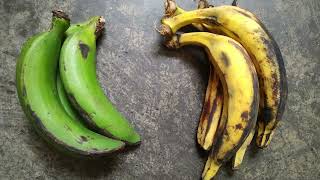 Plantains vs Bananas: Unveiling the Tasty Truth Wealth