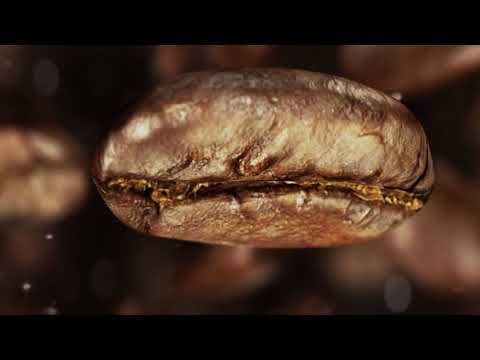 Video: Umíte umlít kávová zrna v nutribulletu?