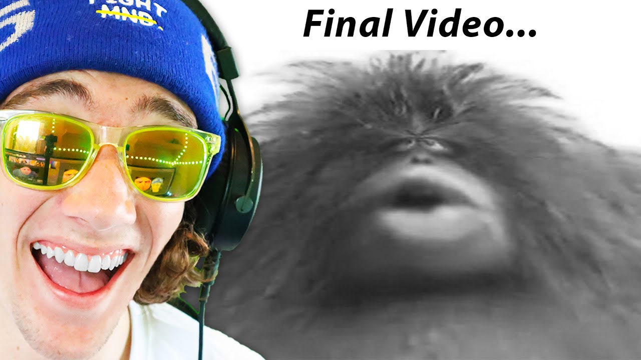 Попробуй не засмеяться. НЕВОЗМОЖНО - Kracc Bacc Выпуск 8