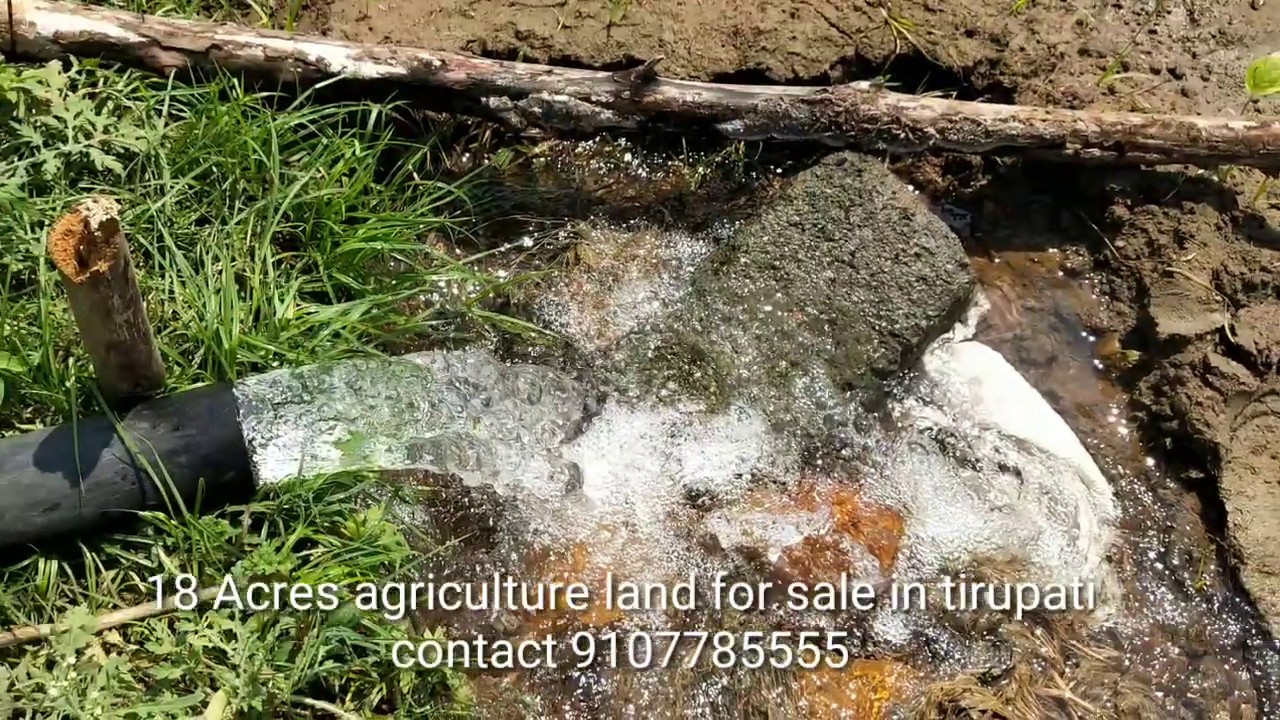 18 Acres Agriculture Land For Sale Near yerpedu to Vengatagiri 1.40cr