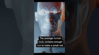 💪 Unlocking the Iron Within! The Average Human Body and its Hidden Treasures ⚙️💥