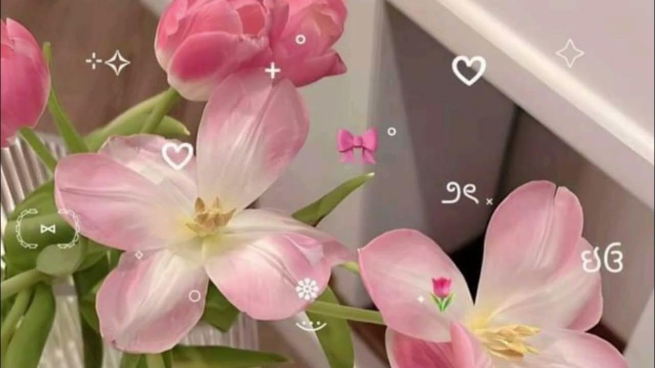 connie francis - pretty little baby, (you can ask the flowers, I sit for hours) 1 Hour connie francis - pretty little baby, (you can ask the flowers, I sit for hours) 1 Hour