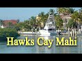 Hawks Cay Mahi Fishing