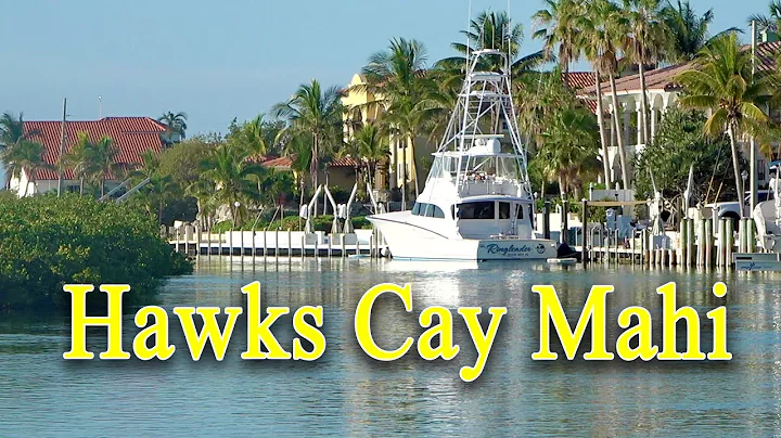 Hawks Cay Florida Keys Mahi Fishing