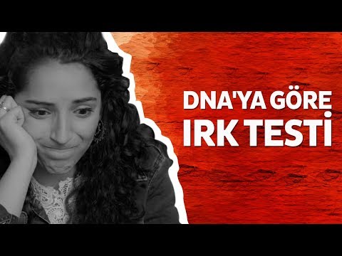 Video: Resim DNA analizi yapacak