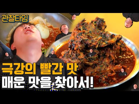 [#관찰타임] 맵다매워! 극강의 매운 맛으로 여름나기!  | 관찰카메라 24 202 회