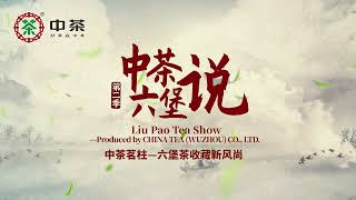 Liu Pao Tea Show Season 2-- New compressed tea--Pipe shaped Liu pao tea /中茶六堡说第二季---中茶茗柱