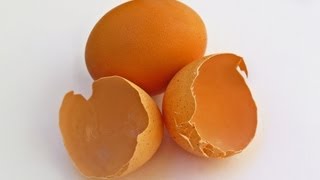 Don't Throw Your Egg Shells Away! Here's A Super Way To Apply Egg Shells To Your Worm Bin! Net Worth