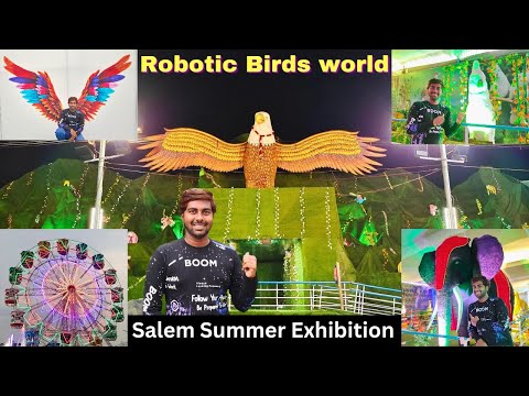 SALEM Robotic BIRDS Exhibition 2024 | SUMMER exhibition | salem exhibition