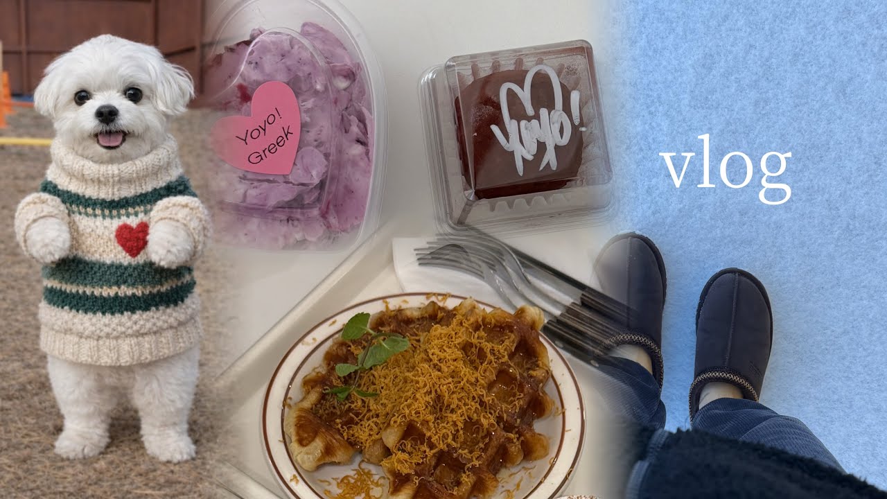 직장인브이로그 | 디저트 처돌이  | vlog | 신혼부부 저녁 | 다이소 꿀템 쇼핑(본셉, 레드진생, 헤어플러스) | 겨울에는 콩죽(콩칼국수) | 다견가정 | 노견 심장병 치료🥹