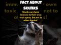 “Skunks Can Smell Their Own Poison!? | Nature’s Weirdest Defense”#shortsfeed#facts #shorts