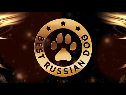 Видео: Ексклузивна гала вечеря BLAC & GOLD