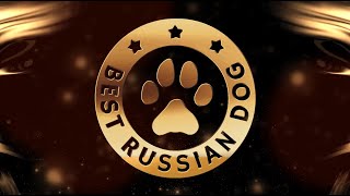 Гала-ужин Лучшие собаки России 2021 / Best Russian Dog 2021