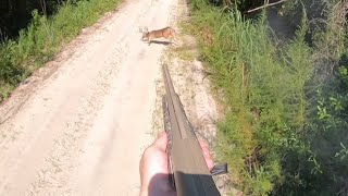 SC Deer Dog Drives 8/19/23: Brad Kills Nice Buck! (3 shots on cam)