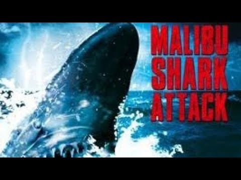 Malibu Shark Attack / Music Video