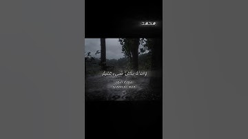 (سورة النور محمد اللحيدان) #المدينة_المنورة #اكسبلور #yasseraldossary #المصحف #قران_كريم#قرآن #لايك