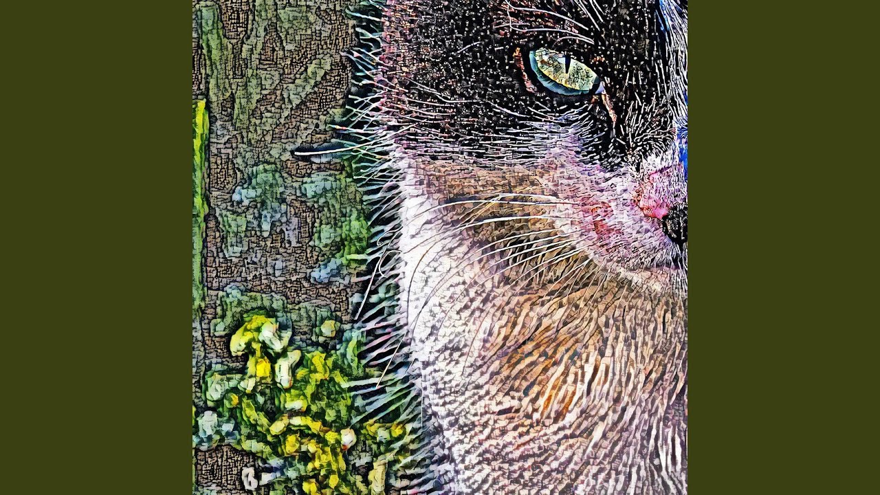 Love Grows Under The Wild Oak Tree Accompaniment Denise Gagne Shazam