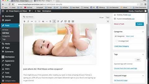 Creating Your First Post on WordPress