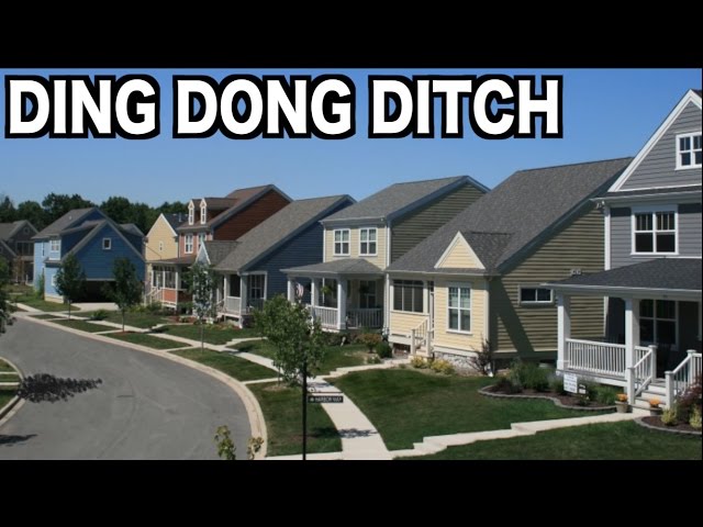 Ding Dong Ditching Entire Neighborhood The Squad S 2 Ep 1 Joogsquad Ppjt Youtube
