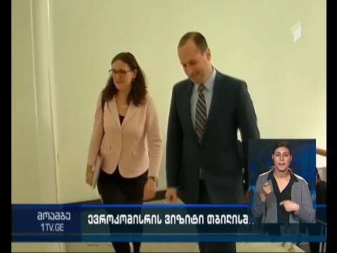 მიხეილ ჯანელიძე ევროკომისარ მალმსტორმს შეხვდა