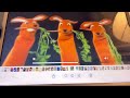 Baby Einstein Favorite Adventures DVD Part 4 