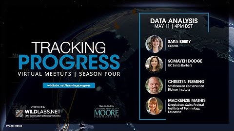 Virtual Meetup: Data Analysis in Movement Ecology