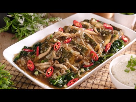 Shimeji Mushrooms App