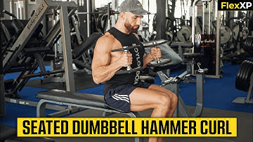 Seated Dumbbell Hammer Curl Form & Tutorial Guide (30 Seconds) - FlexXP