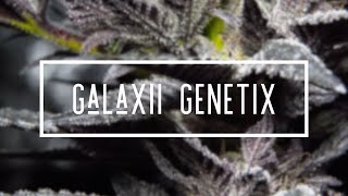 The Start of 2023 Outdoor Grow