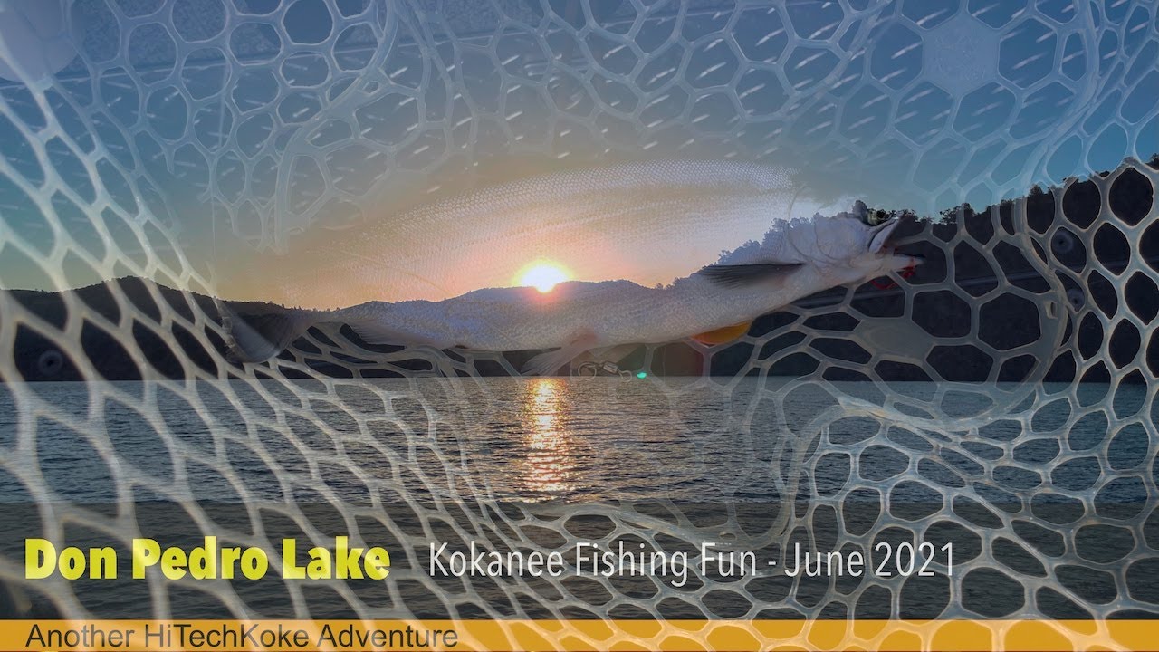 Don Pedro Kokanee Salmon YouTube