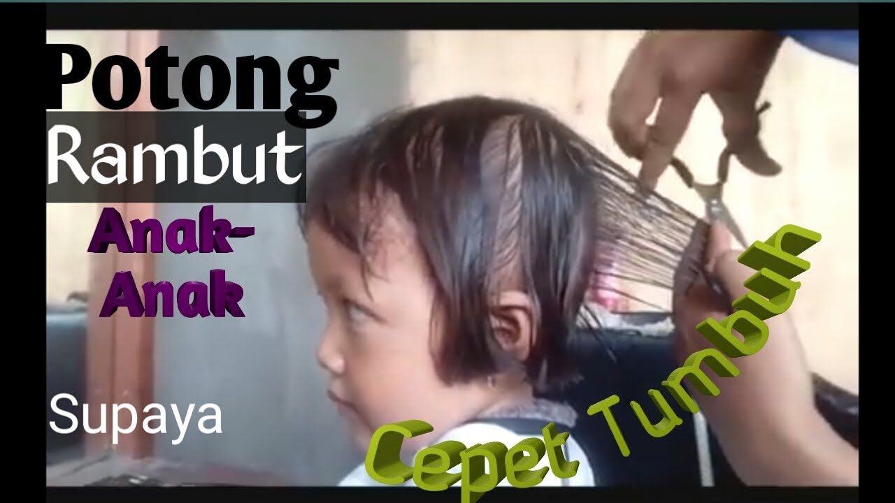 Gunting Rambut  Cepat anak  anak  Agar Rambut  cepat tumbuh  