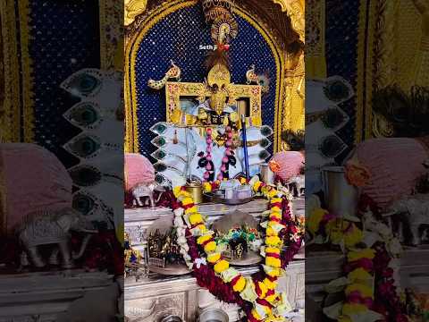 Jay Sanwariya Seth ji ❤️🙏🏻#mandfiya #mandfiyanagari #mandfiyanaresh #mandir #sanwaliyaseth #shorts