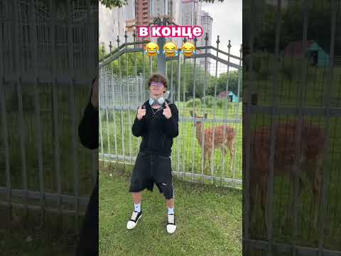 Лось танцует #shortvideo #germanblack #юмор #детиблогеры #чадоизада #тренды