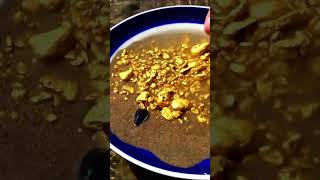 Golden Gravel &amp; Gold Pieces! Unbelievable Find #crystals