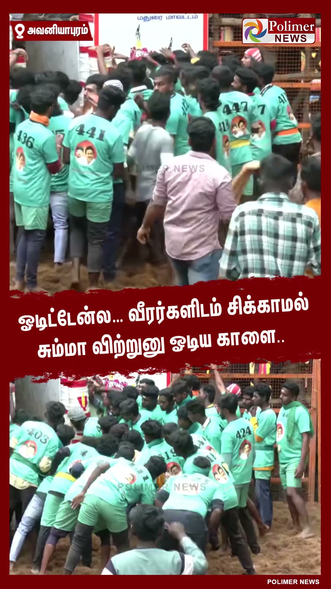 ஓடிட்டேன்ல… வீரர்களிடம் சிக்காமல் சும்மா விற்றுனு ஓடிய காளை..  #shorts | #avaniyapuramjallikattu