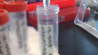 MN2020: Deep Impact of Medical Research