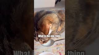 What Would Make You Go In