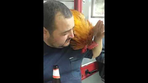 Come si chiama una persona che se la prende?