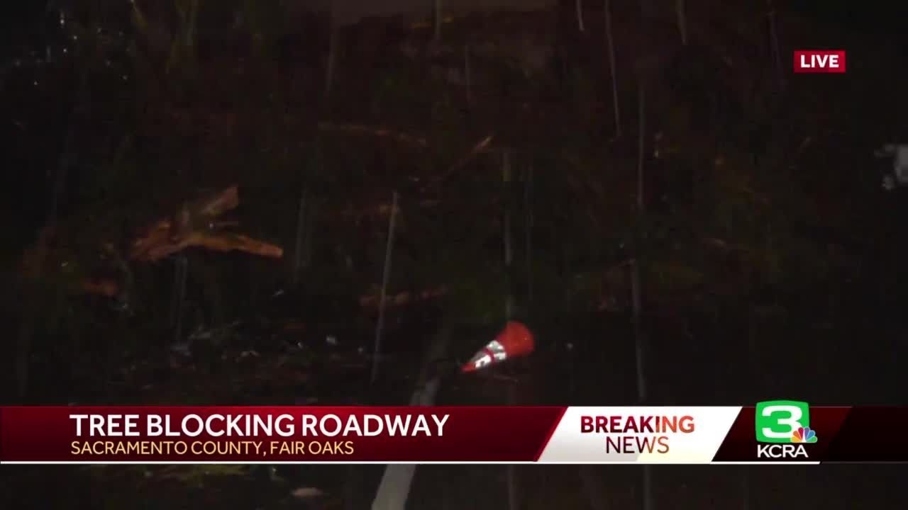 Northern California Storm Coverage: Tree blocks roadway in Fair Oaks