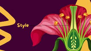 Parts of a Flower | Illustration Made Simple | Educational Videos