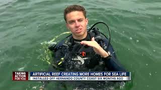 Artificial reef pilot project becomes home for marine life in Hernando County