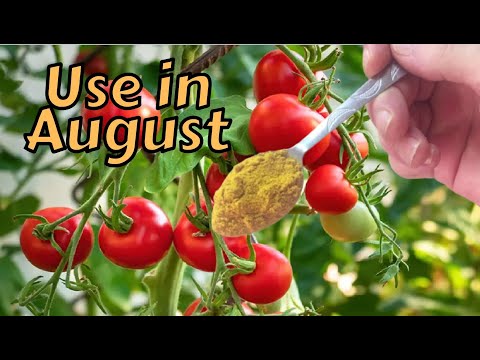 Video: Ասպիրինի օգտագործումը բույսերի վրա. ասպիրինը բանջարեղենի այգիներում և այլն