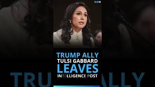 US Intelligence Chief Resigns Over Family Health Crisis! #TulsiGabbard #DonaldTrump #USPolitics