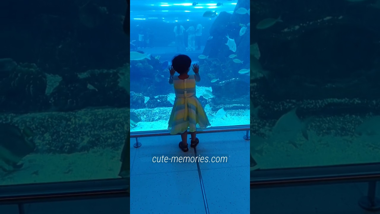 Dubai Aquarium | Dubai Mall | #dubaimall #underwaterzoo #dubaiaquarium #dubaiactivities